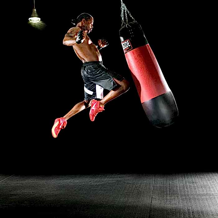 fighter